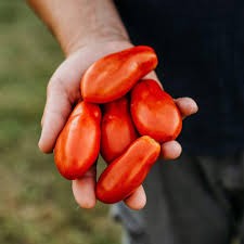 Opalka Paste Tomato