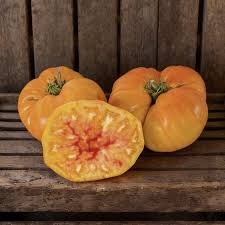 Striped German Tomato